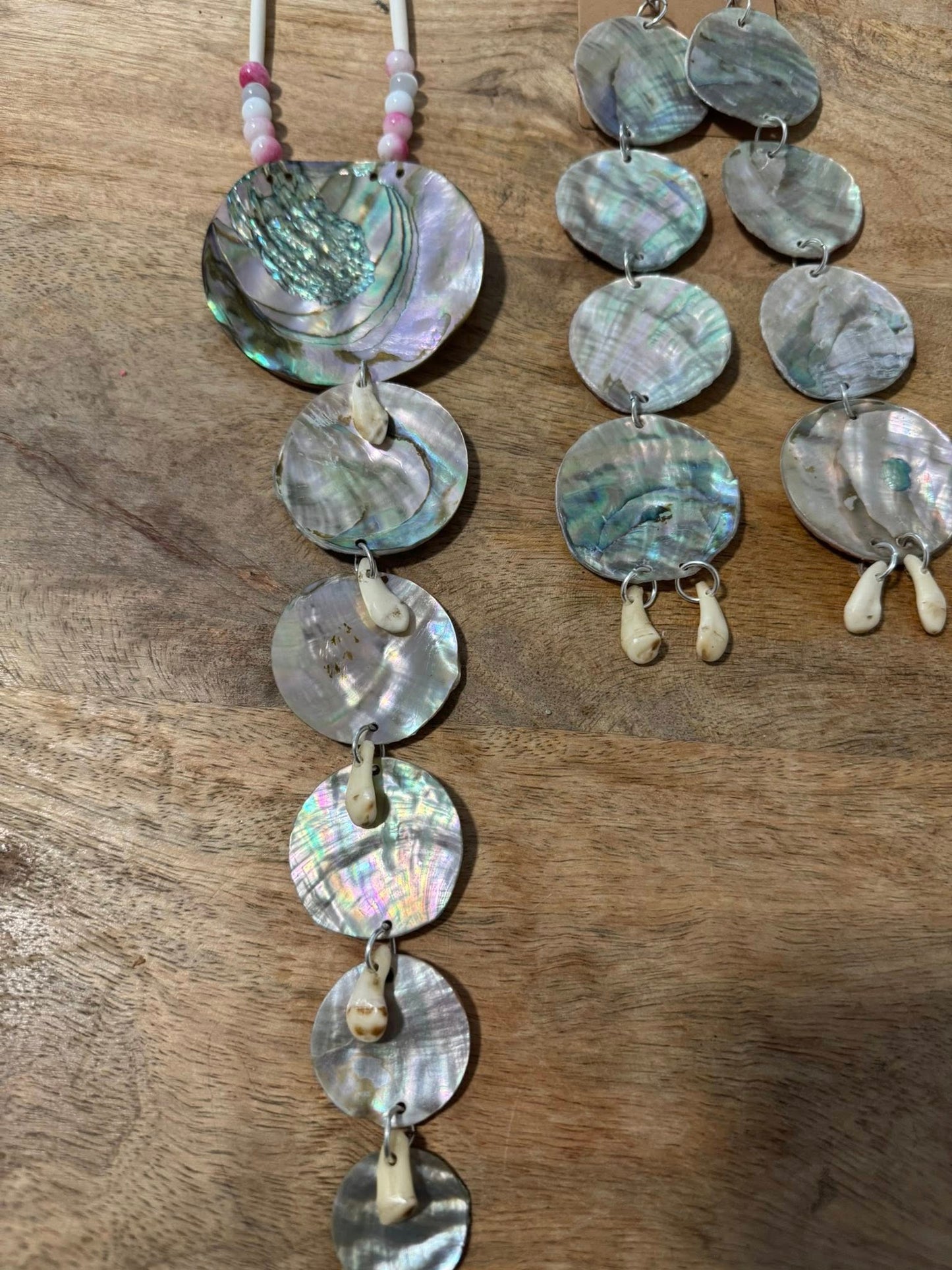 Abalone Choker/Necklace and Earrings Set